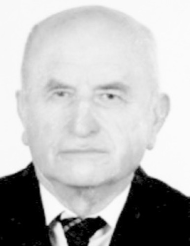 Светислав Трифуновић