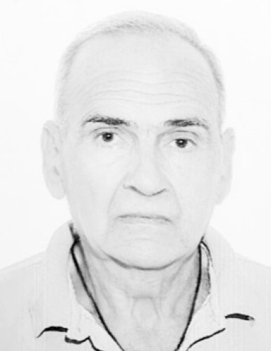 Бранислав Ристовић
