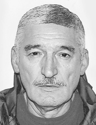 Владимир Бошковић