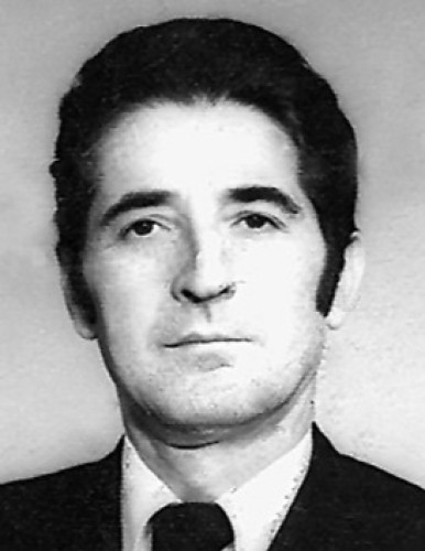 Добриловић Велимир