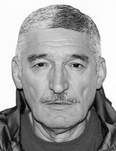 Влада Бошковић