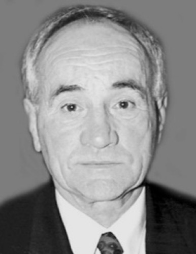 Владимир Владица Поповић