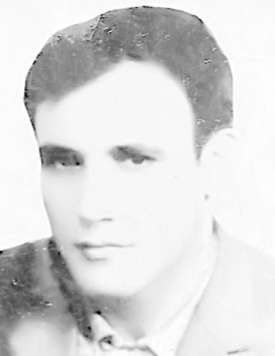 Тодор Митић
