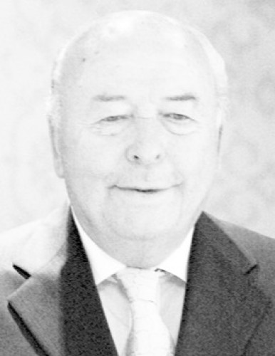Петра Студена
