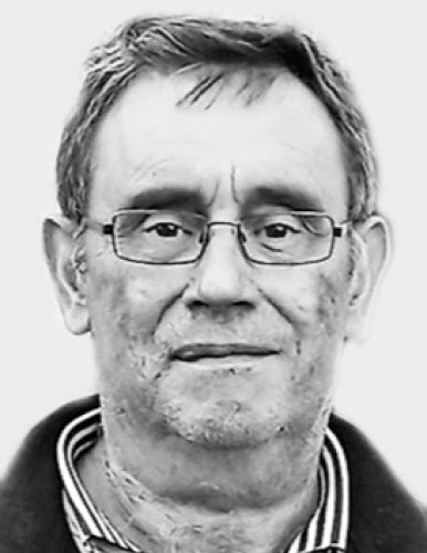 Душана Зечевића