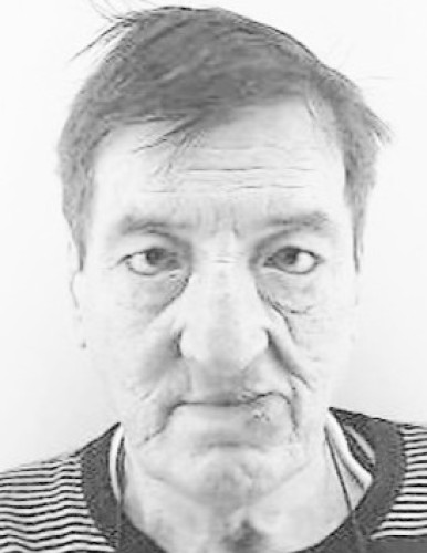 Борко Пјанић