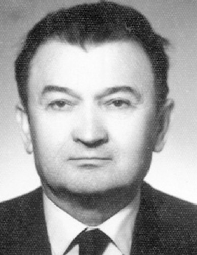 Никола Видић