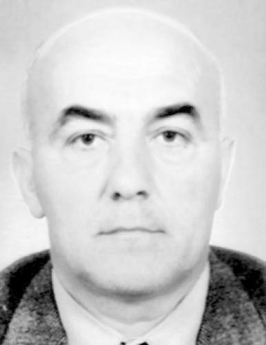 Борислав Станојковић