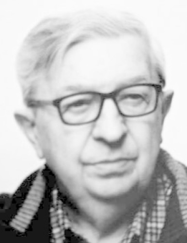 проф. др Реља Јовановић дипл. маш. инж