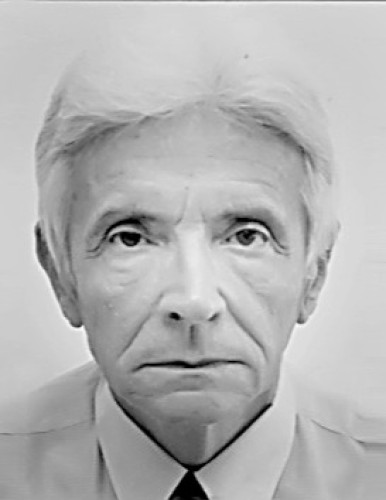 Борислав Грковић