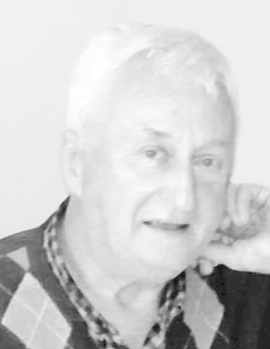 инж. Златибор Димитријевић