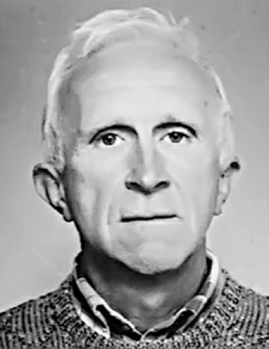 Драгољуб Драган Пурић-Вукас