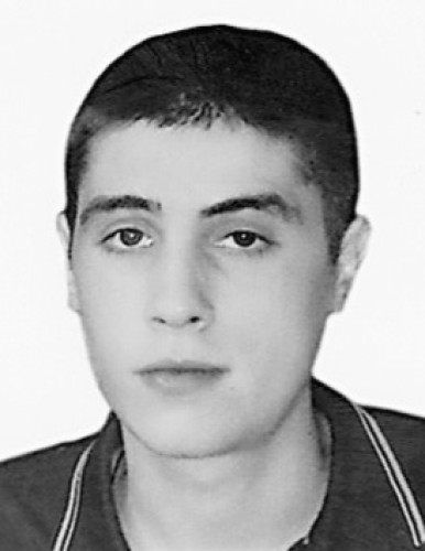 Аранђел Мајкић
