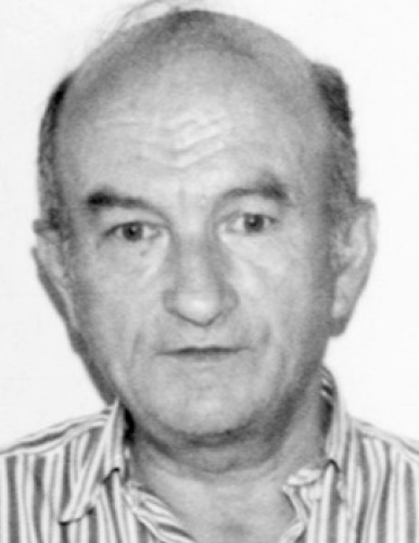 Витомир В. Цветковић