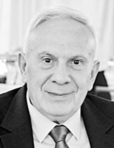 проф. др Драгана Перића